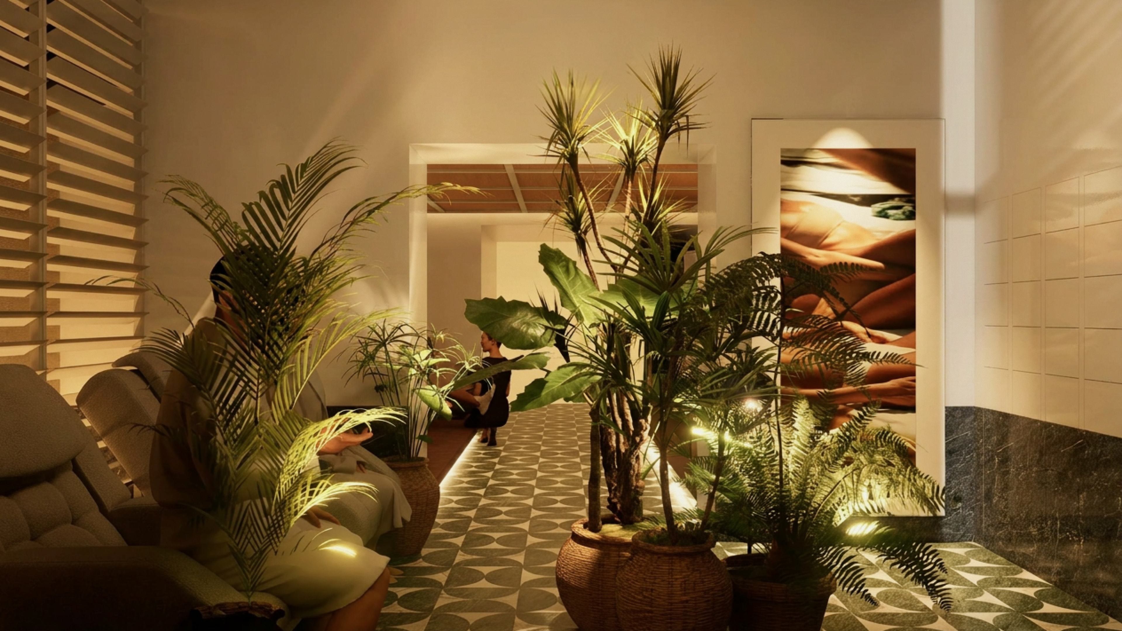 Main lounge with natural materials, plants and warm light